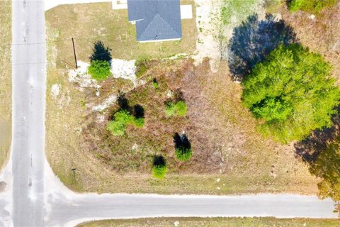 Land in Ocklawaha, Florida № 2160442 - photo 10