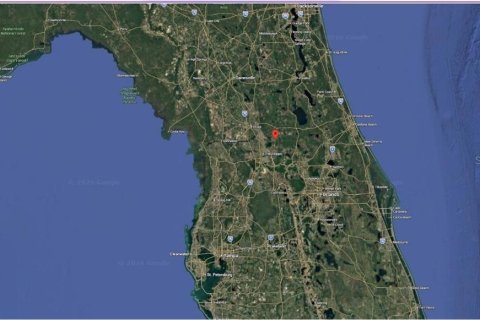 Land in Ocklawaha, Florida № 2160442 - photo 5