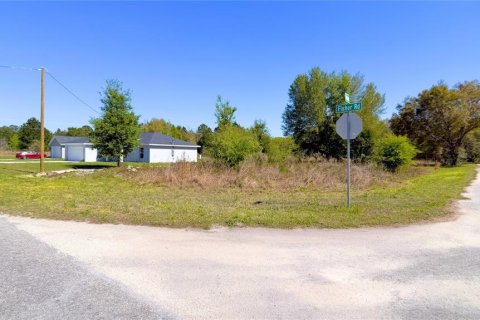 Land in Ocklawaha, Florida № 2160442 - photo 8