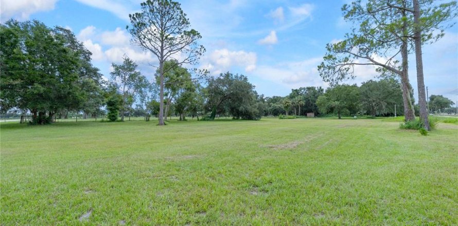 Land in De Leon Springs, Florida № 1878045
