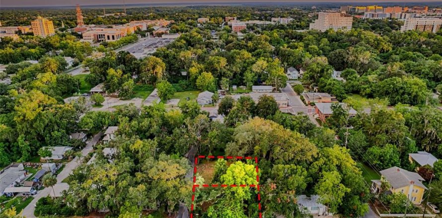 Terrain à Gainesville, Floride № 1919303