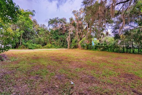 Terrain à vendre à Gainesville, Floride № 1919303 - photo 7