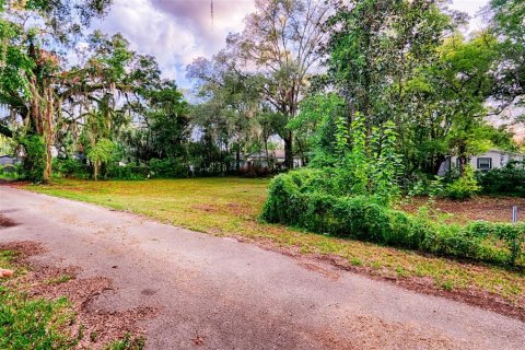 Terrain à vendre à Gainesville, Floride № 1919303 - photo 10
