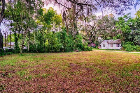Terrain à vendre à Gainesville, Floride № 1919303 - photo 8