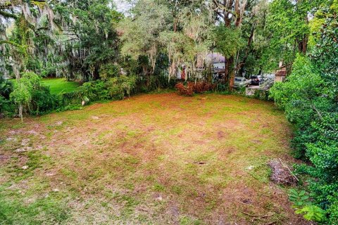 Terrain à vendre à Gainesville, Floride № 1919303 - photo 6