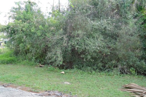 Land in Fort Pierce, Florida № 1224547 - photo 1