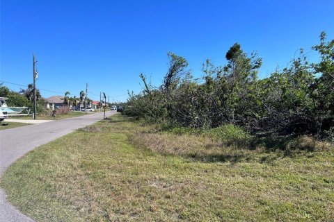 Terrain à vendre à Port Charlotte, Floride № 2218705 - photo 4