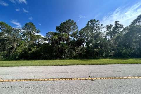 Land in Port Charlotte, Florida № 2229541