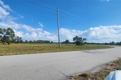 Land in Placida, Florida № 2162606 - photo 4