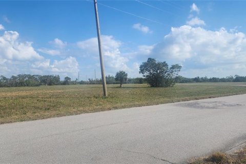 Land in Placida, Florida № 2162606 - photo 11