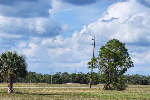 Land in Placida, Florida № 2162606 - photo 6