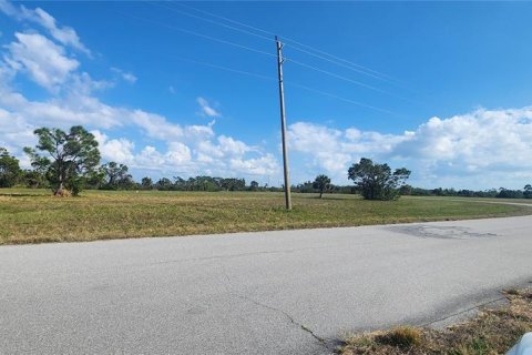 Land in Placida, Florida № 2162606 - photo 3