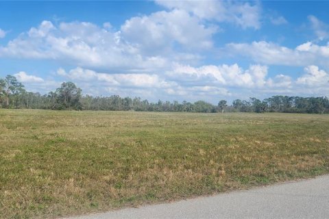 Land in Placida, Florida № 2162606 - photo 9