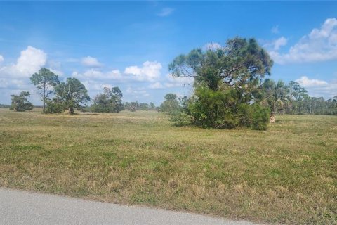 Land in Placida, Florida № 2162606 - photo 7