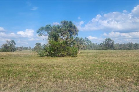 Land in Placida, Florida № 2162606 - photo 8