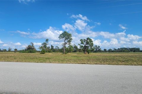 Land in Placida, Florida № 2162606 - photo 5