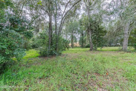 Commercial property in Middleburg, Florida № 773657 - photo 1