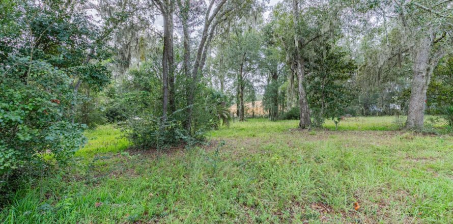 Commercial property in Middleburg, Florida № 773657