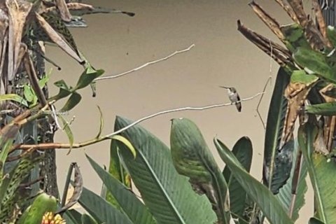 House in Miami Lakes, Florida 3 bedrooms, 195.75 sq.m. № 2009294 - photo 17