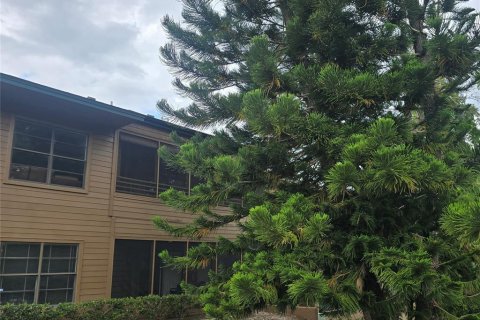Condo à Palm Harbor, Floride, 2 chambres № 2102140