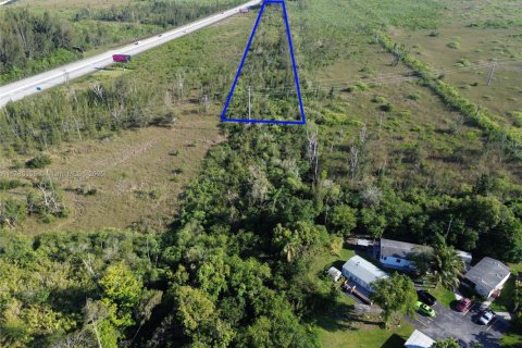 Commercial property in Florida City, Florida № 1862205 - photo 2