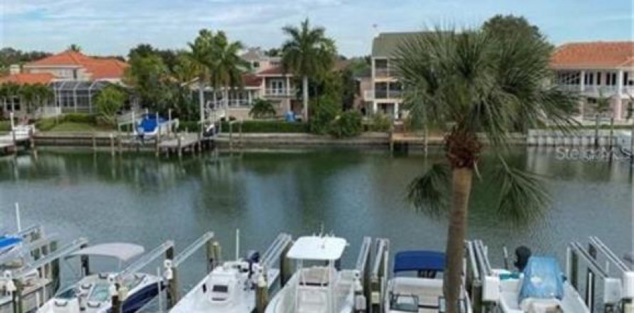 Condo à Saint Petersburg, Floride, 2 chambres  № 2112377