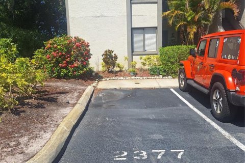 Condo in Dunedin, Florida, 2 bedrooms  № 2209220