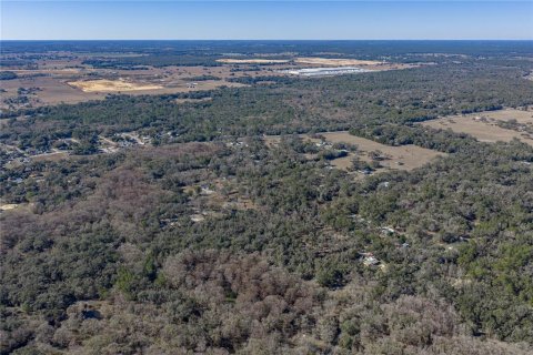 Terrain à vendre à Dade City, Floride № 2212772 - photo 5