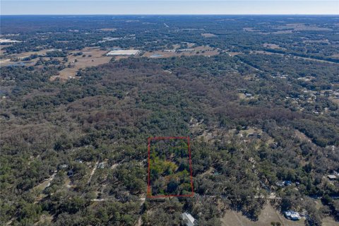 Land in Dade City, Florida № 2212772