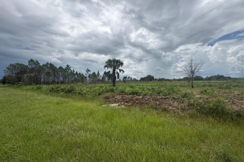 Commercial property in Okeechobee, Florida № 2194864 - photo 2