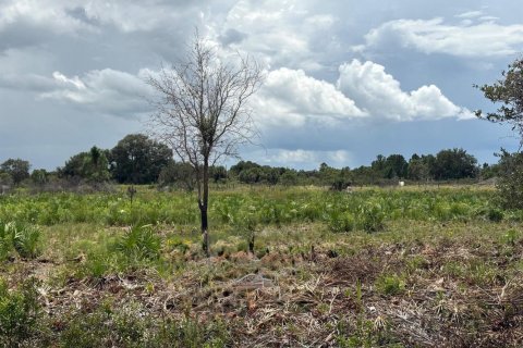 Commercial property in Okeechobee, Florida № 2194864