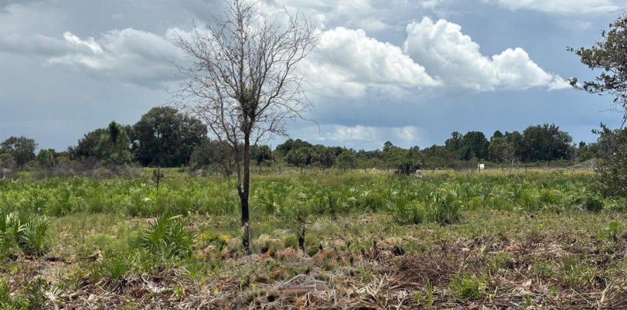 Commercial property in Okeechobee, Florida № 2194864