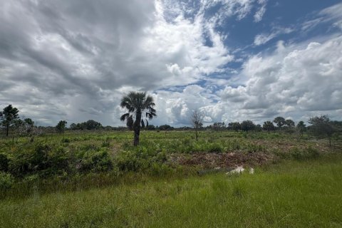 Commercial property in Okeechobee, Florida № 2194864 - photo 5