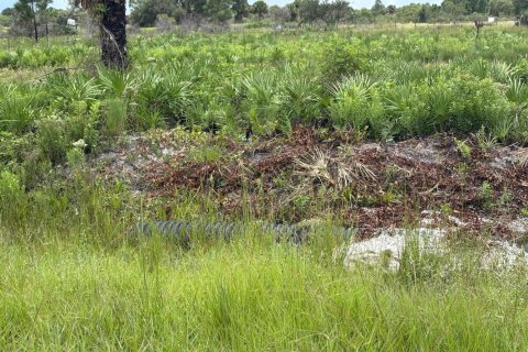 Commercial property in Okeechobee, Florida № 2194864 - photo 7