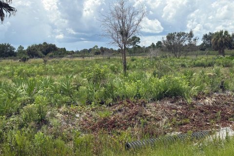 Commercial property in Okeechobee, Florida № 2194864 - photo 6