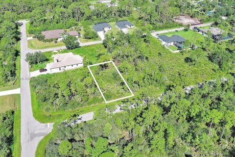 Terrain à Port Charlotte, Floride № 2164335