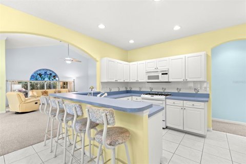 Villa ou maison à vendre à Palm Harbor, Floride: 3 chambres, 189.33 m2 № 1642654 - photo 20