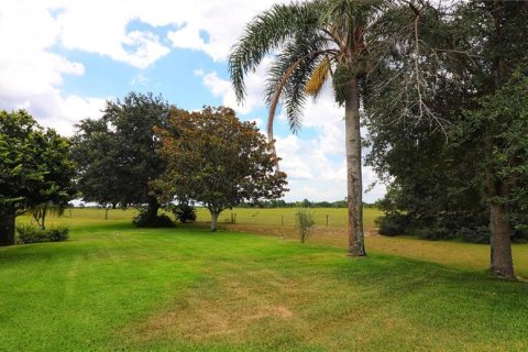 Casa en alquiler en Leesburg, Florida, 3 dormitorios, 266.54 m2 № 2105541 - foto 24
