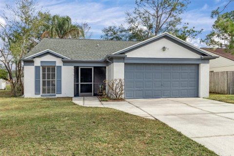 House in Lutz, Florida 3 bedrooms, 136.75 sq.m. № 2289709