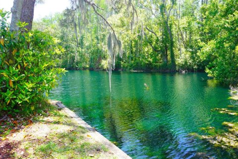 Condo in Lutz, Florida, 2 bedrooms  № 2231708 - photo 3