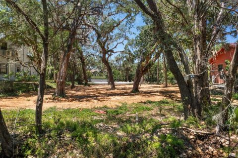 Terrain à vendre à Homosassa, Floride № 2195153 - photo 9