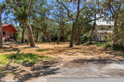 Terrain à vendre à Homosassa, Floride № 2195153 - photo 13