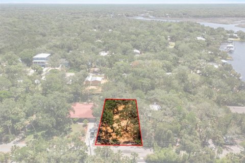 Terrain à vendre à Homosassa, Floride № 2195153 - photo 2