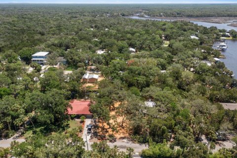 Terrain à vendre à Homosassa, Floride № 2195153 - photo 4