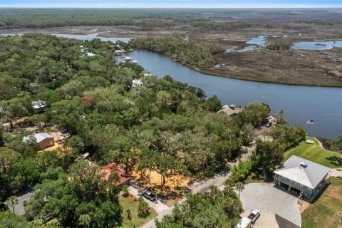 Terrain à vendre à Homosassa, Floride № 2195153 - photo 3