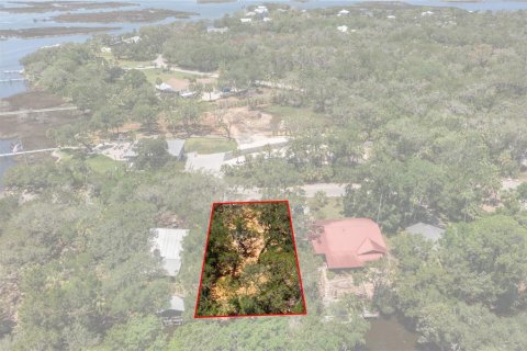 Terrain à vendre à Homosassa, Floride № 2195153 - photo 14