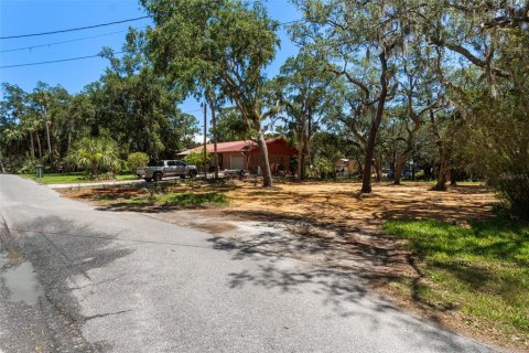 Terrain à vendre à Homosassa, Floride № 2195153 - photo 11