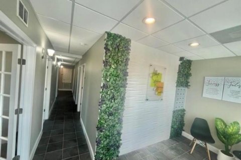 Снять в аренду коммерческую недвижимость в Зеферхиллс-Норт, Флорида 218.88м2, № 2118238 - фото 3