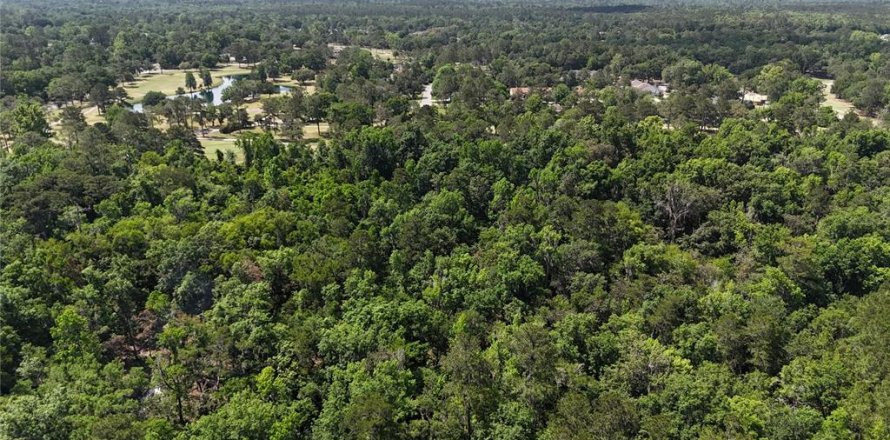 Terrain à Gainesville, Floride № 1681271