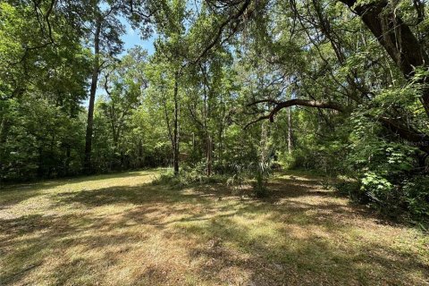 Terrain à vendre à Gainesville, Floride № 1681271 - photo 24